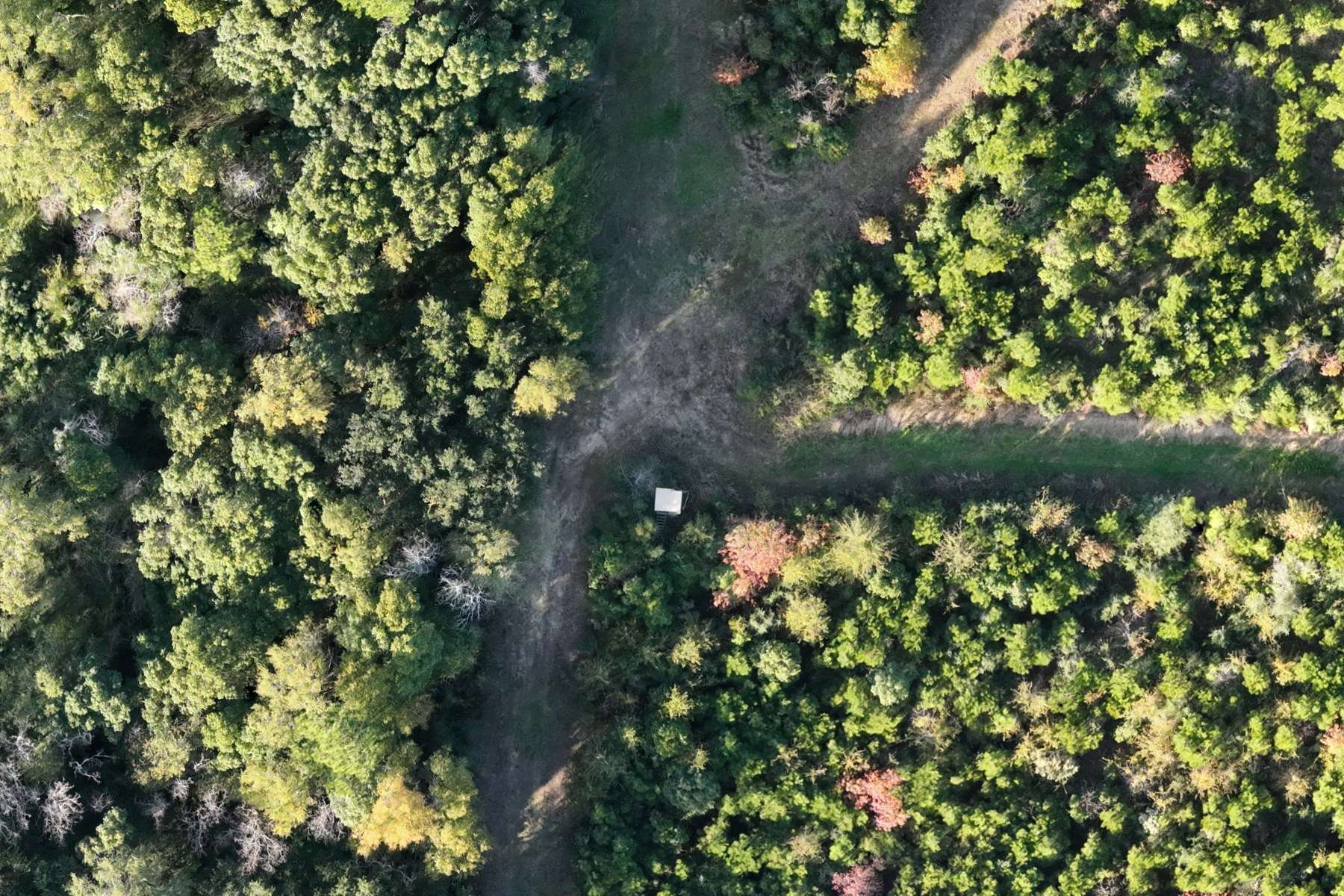 CTH drone map of the same junction showing the box blind, all three shooting lanes and individual trees